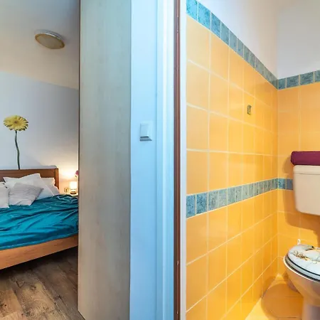 بيت للعطل Pet Friendly In *