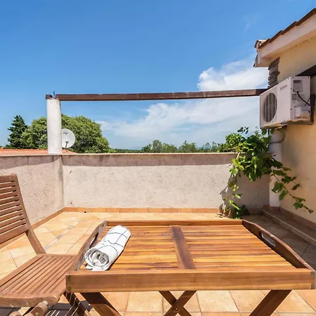 Pet Friendly In بيت للعطل